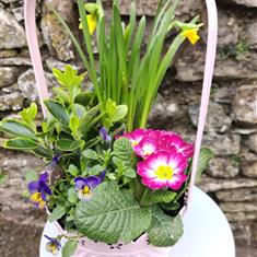 Mother's day planted hoop  basket 